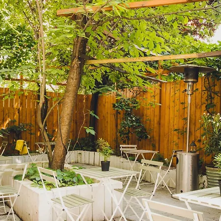 Cos Zydowska 33 * Poznań