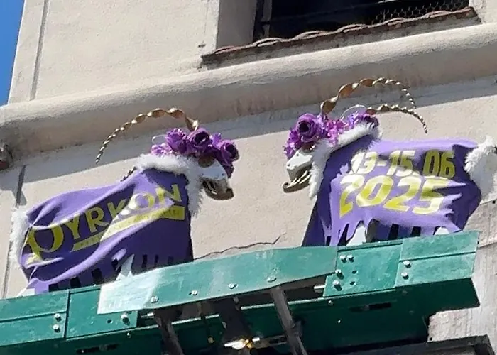 Cos Zydowska 33 Апартаменты Познань